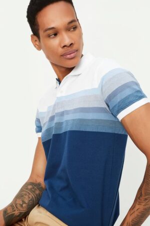 Men Striped Polo Neck Cotton Blend Blue T-Shirt